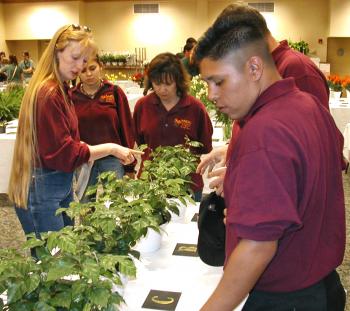 Image of NMSU Floral Judging Team